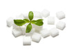 Stevia und Zuckerwürfel