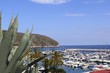 Moraira marina port view from agave