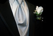 The Wealthy Look