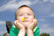 The boy lies in a meadow with flowers in the mouth