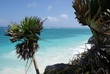 Karibiksandstrand