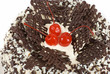 chocolate tasty cake