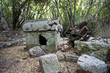 Ruins of ancient Greek