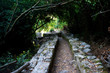 Ruins of ancient Greek