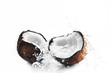 cracked coconut splashing cracked coconut splashing