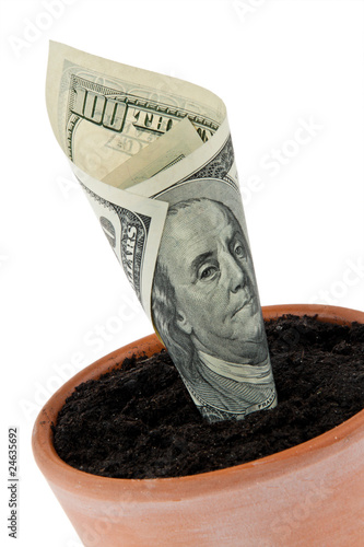 Photo: Dollar-Geldschein in Blumentopf. Zinsen, Wachstum. Dollar-Geldschein in Blumentopf. Zinsen, Wachstum.
