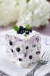 Blueberry cake with sour cream. Shallow DOF
