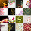 floral background