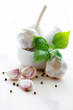 garlic garlic