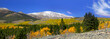 Autumn in Colorado