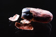 Cocoa beans closeup
