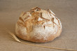 Pain de campagne