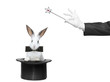 A rabbit in a hat and hand holding a magic wand A rabbit in a hat and hand holding a magic wand