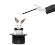 A rabbit in a hat and hand holding a magic wand A rabbit in a hat and hand holding a magic wand