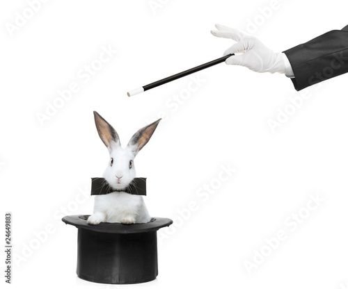 Photo: A rabbit in a hat and hand holding a magic wand A rabbit in a hat and hand holding a magic wand