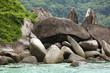 rocky tropical coastline