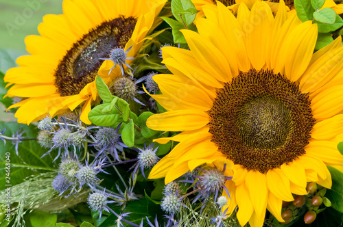Foto: Sonnenblume, sommerlicher Blumenstrauß, Sommerblumen Sonnenblume, sommerlicher Blumenstrauß, Sommerblumen