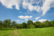 Summer Landscape