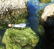 einsame Flaschenpost im Wasser