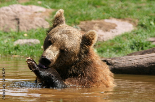 ours ours