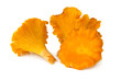 Three chanterelles