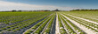 Wide View of Ploughed Fields at Mont Saint Michel Wide View of Ploughed Fields at Mont Saint Michel