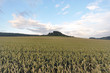 A rural field on the heights of the Swabian Alb