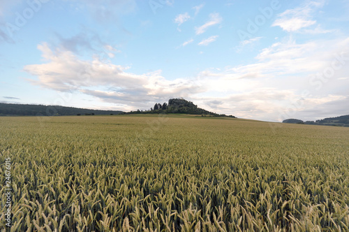 Photo: A rural field on the heights of the Swabian Alb A rural field on the heights of the Swabian Alb
