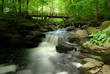 Holzbachschlucht