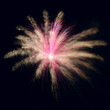Fleur de feu