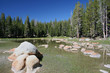 Pond at Yosemite