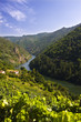 cañon del sil, orense, galicia