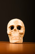 ����: Skull of human against the gradient background � Elnur #24690409