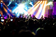 Cheering crowd at concert Cheering crowd at concert