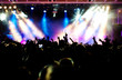 Cheering crowd at concert