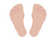 Vector illustration of a foot of feet on a white background Vector illustration of a foot of feet on a white background