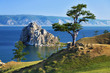 Foto: Tree of desires on cape Burhan of Olkhon Island on Lake Baikal Tree of desires on cape Burhan of Olkhon Island on Lake Baikal