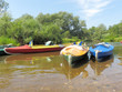 kayaks