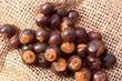 guarana,paullinia cupana