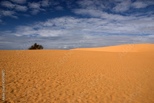Photo: Sand dunes in Muine Sand dunes in Muine