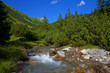 Fliesender Bach im Hochgebirge - Tirol
