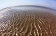 Wattenmeer