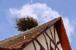Foto: Storchennest auf einem Fachwerkhaus Storchennest auf einem Fachwerkhaus