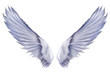 Angel Wings Seraph