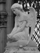 sorrow sorrow