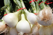 Bulb, white onions with tops.