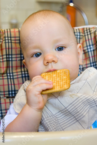 Photo: Baby is eating biscuit. Baby is eating biscuit.