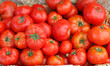 Tomatoes in a basket.