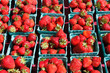 Strawberries in sunlight