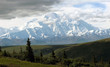 Denali's Mt McKinley from Kantishna